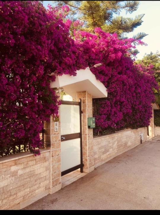 Tulipano Rosso Apartman Bari Kültér fotó