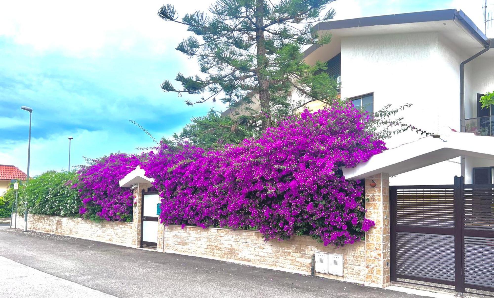 Tulipano Rosso Apartman Bari Kültér fotó
